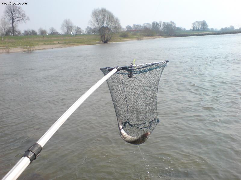 --�� ������ - ������� (����������)