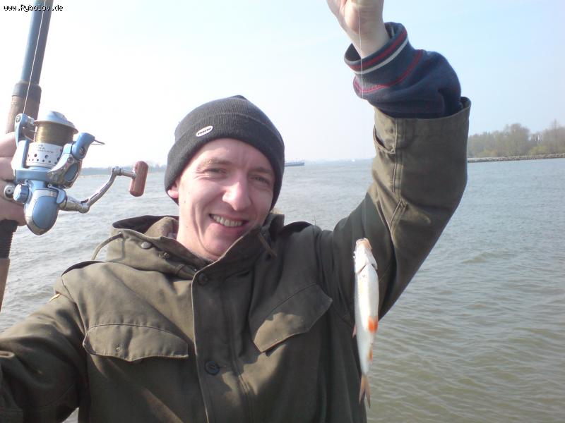 --������ ����� ������� � ��������� - ������� (����������)