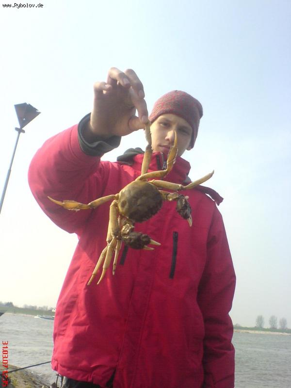 --����������� ����� - ������� (����������)