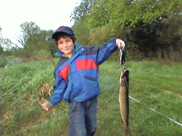 --Perwaja w zhizni -  ()