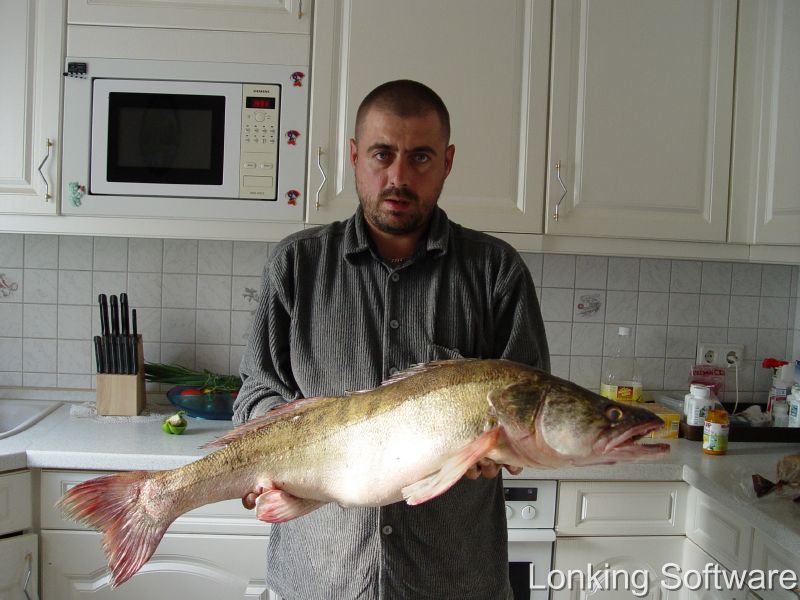 --������� �� 7 ��. - ������� (����������)