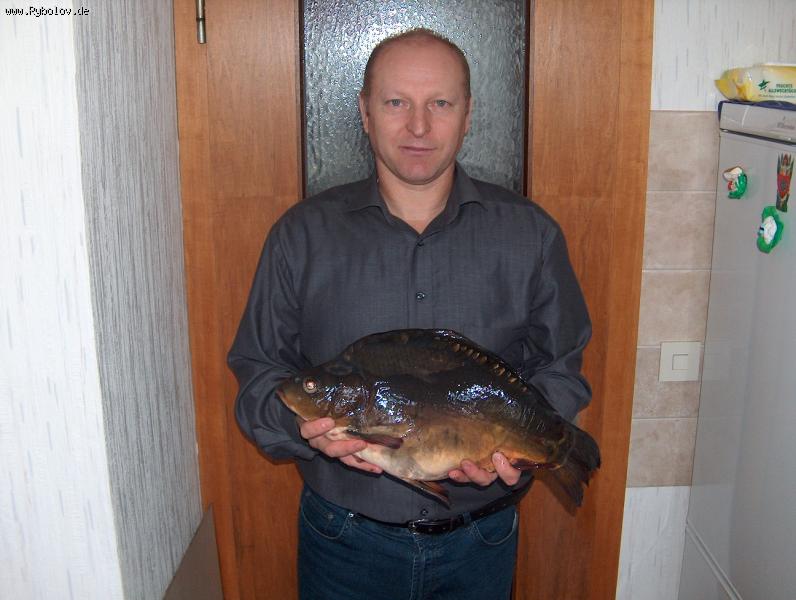 --���� - ������� (����������)