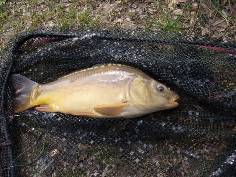 --������� - ������� (����������)