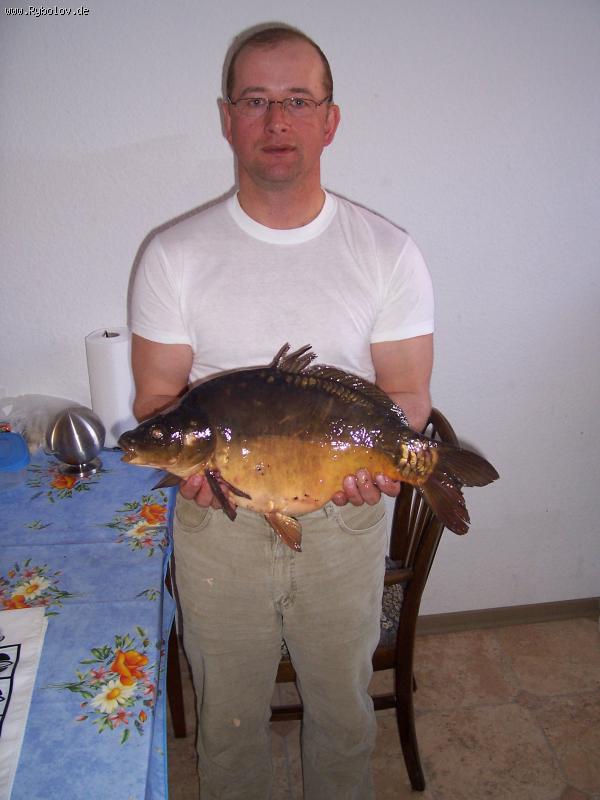 --������ ���� ����� �������� ������ - ������� (����������)