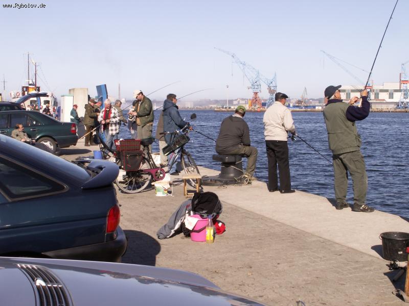 --. 12  2007.   . -  ()