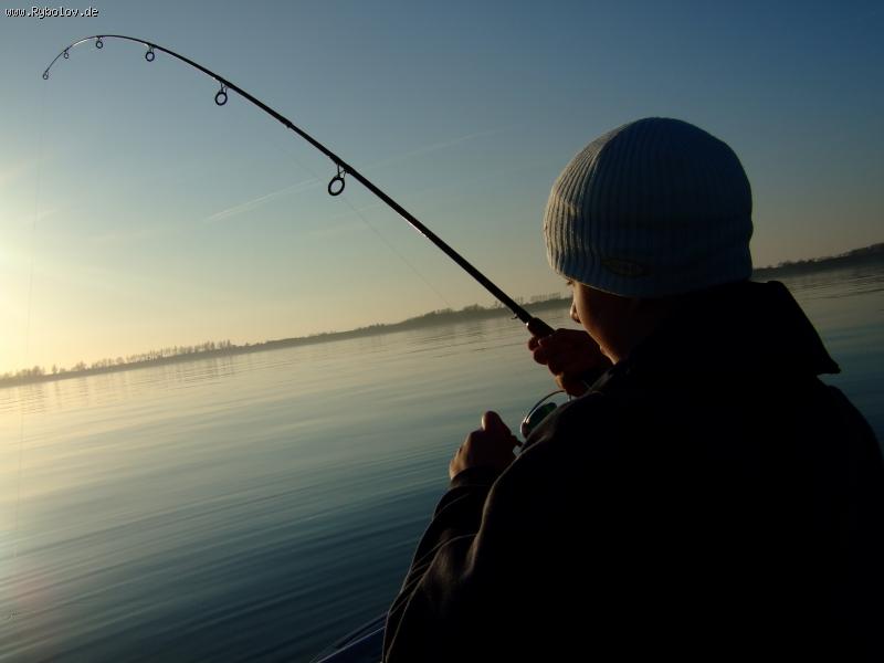 --Dorsch von heute - ������� (����������)