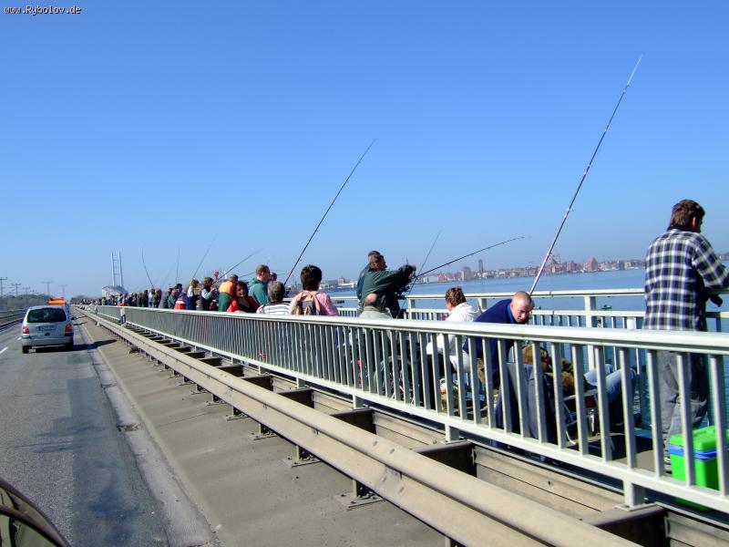 --Achtung, Stralsund - Hering !!! -  ()