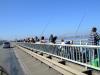 Achtung, Stralsund - Hering !!! -  ()