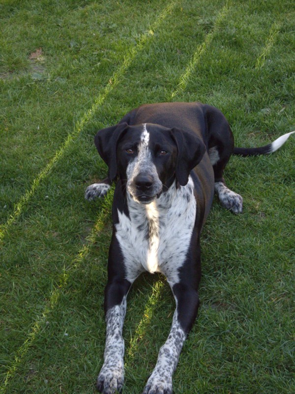 -- ,   ""  :-)) -  ()