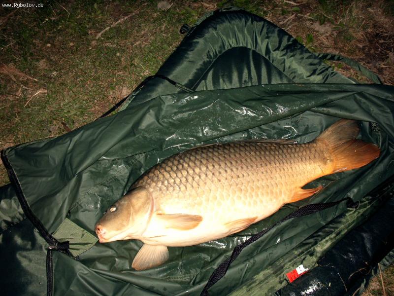 --Horvatie - ������� (����������)