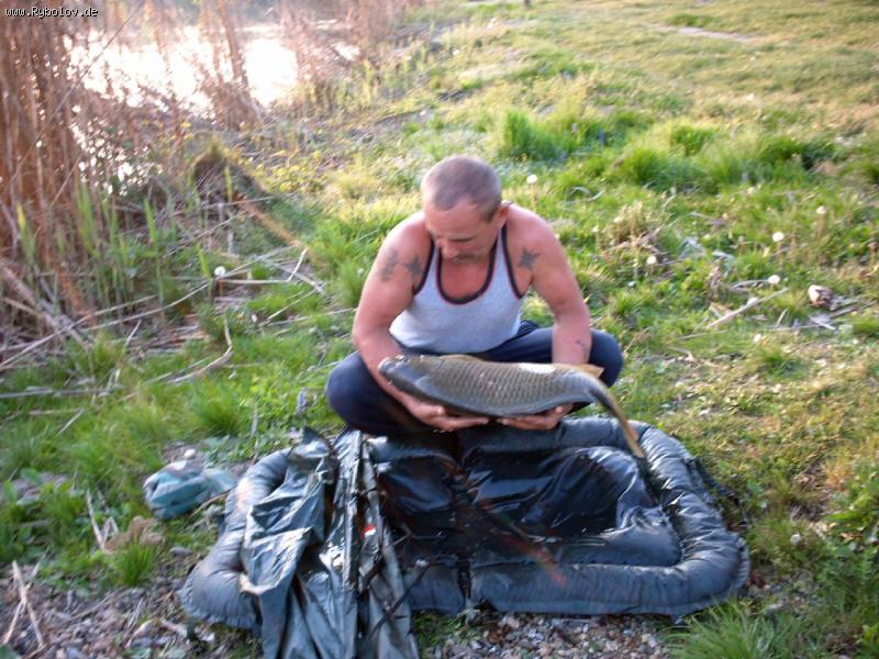 --Utro - ������� (����������)