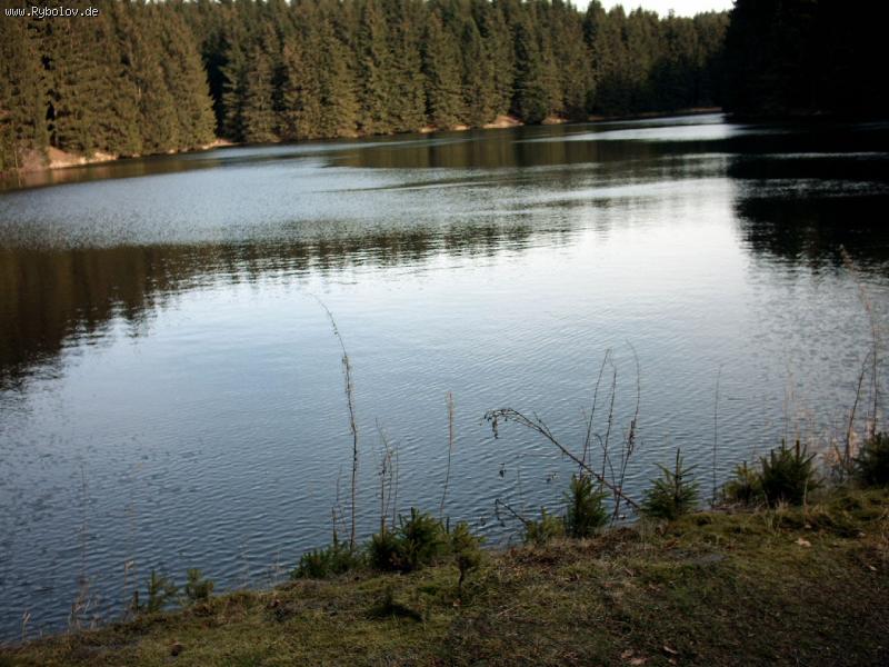 --Harz -  ()