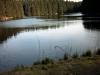 Harz - рыбалка (фотоальбом)