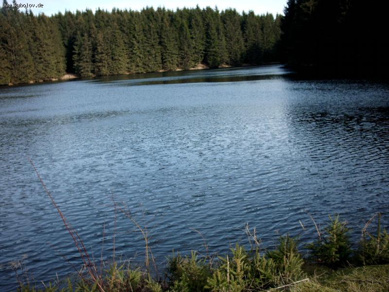 --Harz -  ()