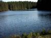 Harz - рыбалка (фотоальбом)