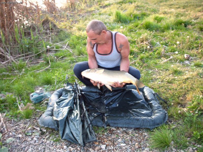 --Utro - ������� (����������)