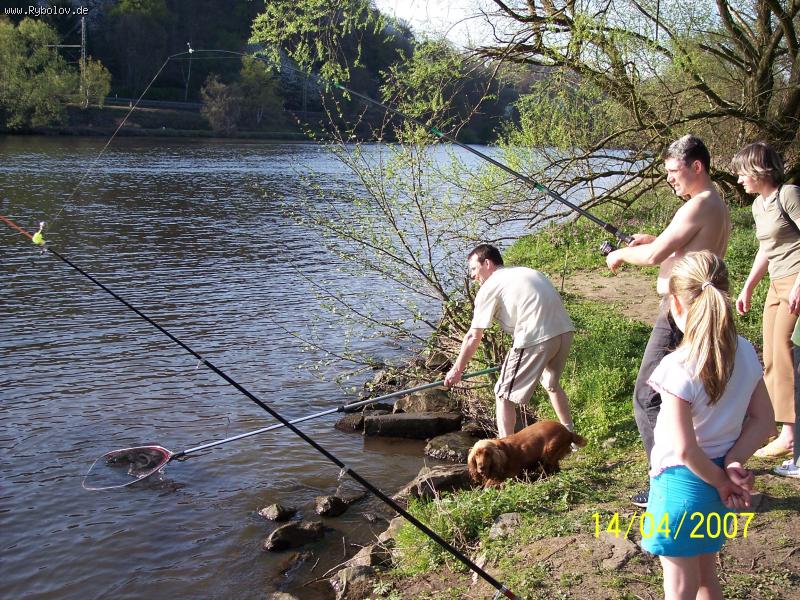 --Wse w oschidanii -  ()