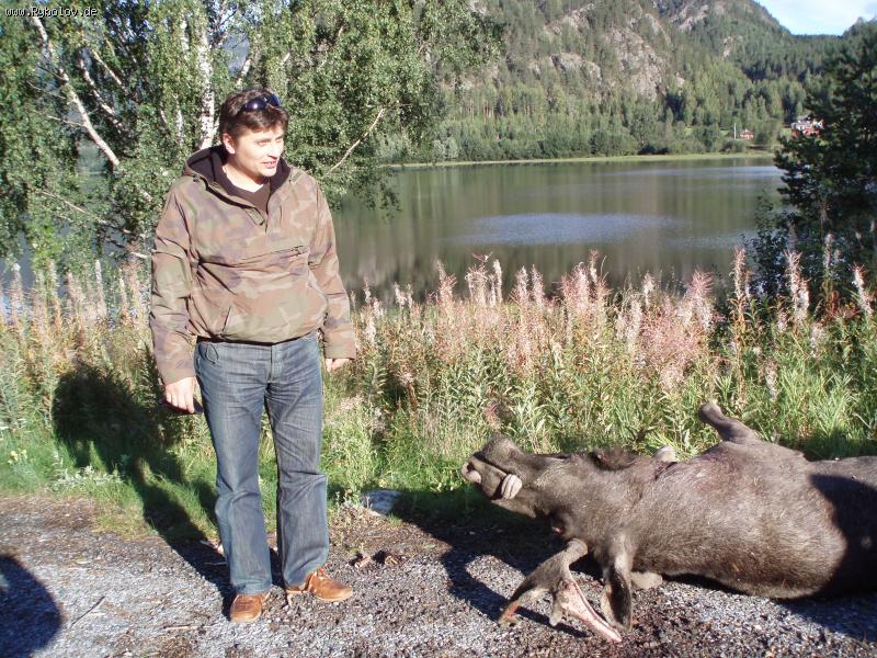 --DTP... - ������� (����������)