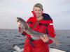  Schellfisch ... -  ()