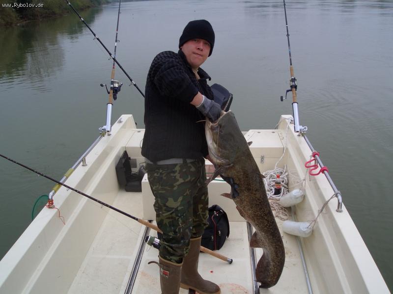 --Ebro-Wels 140 sm. - ������� (����������)