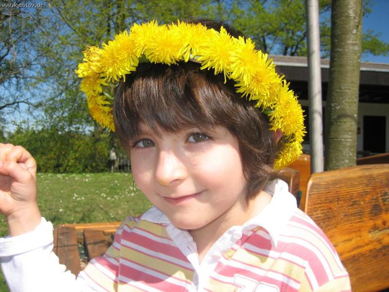 --���� ����� - ������� (����������)