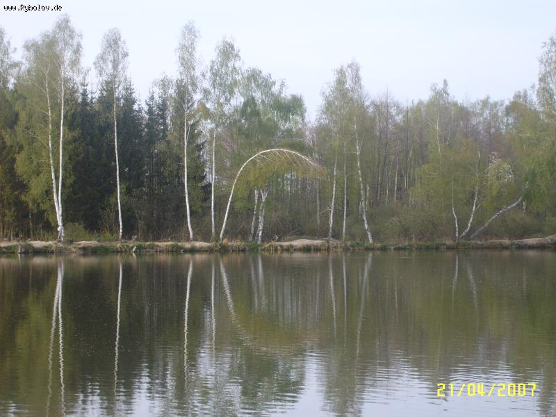 --Берёзы - рыбалка (фотоальбом)