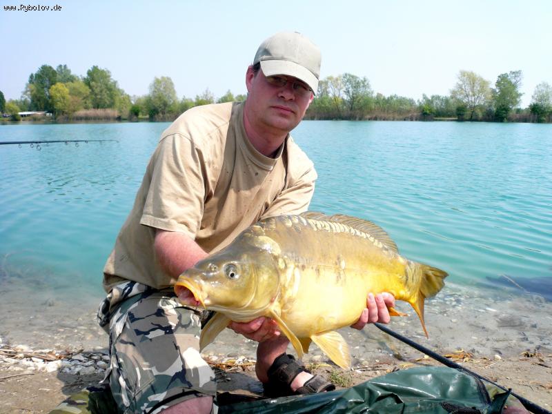 --��������!!! - ������� (����������)