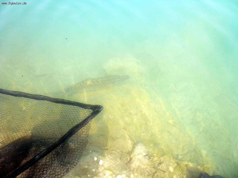 --������ �������!!! - ������� (����������)