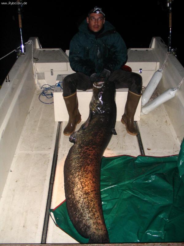 --Ebro-Wels 185 cm. - рыбалка (фотоальбом)