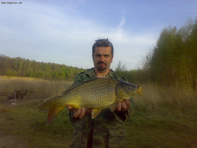 --������ - ������� (����������)