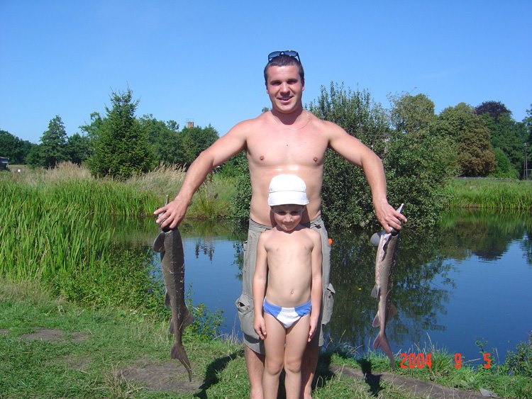 --Stör - ������� (����������)