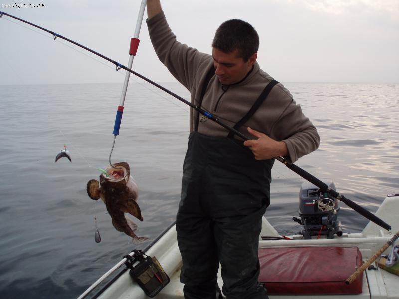 --����! - ������� (����������)