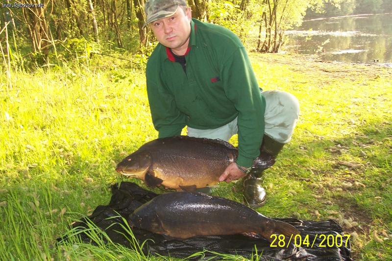 --������ ����� ����� ������,10���� �8, - ������� (����������)