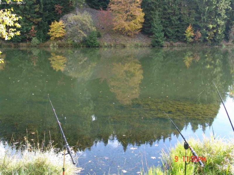 --harz leto - ������� (����������)