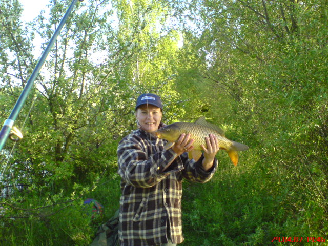 --���� - ������� (����������)