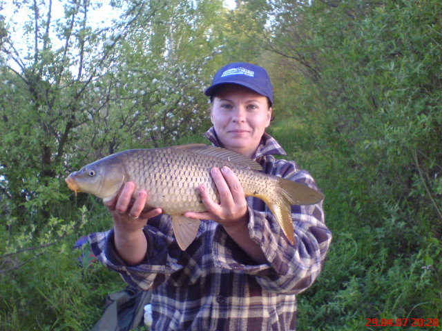 --���� - ������� (����������)