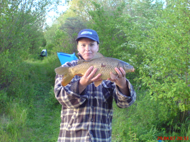 --���� - ������� (����������)