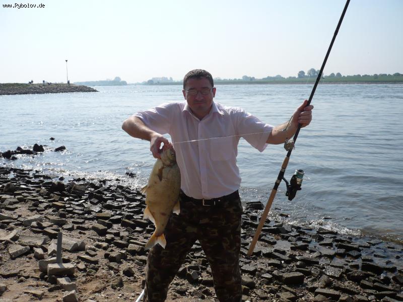 --���������� ��������� - ������� (����������)