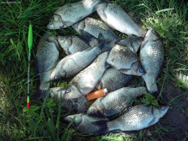 --������ - ������� (����������)