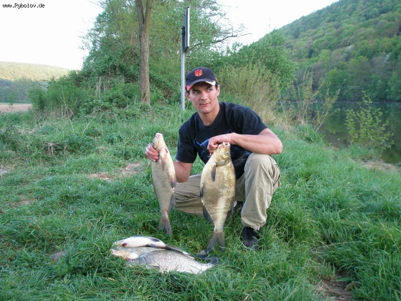 --���� ����� �� ��� ������� - ������� (����������)