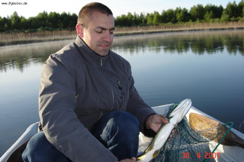 --����� - ������� (����������)