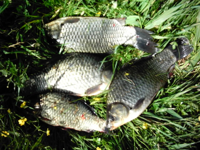 --05.05 ���� 4 ������ �� ������� - ������� (����������)