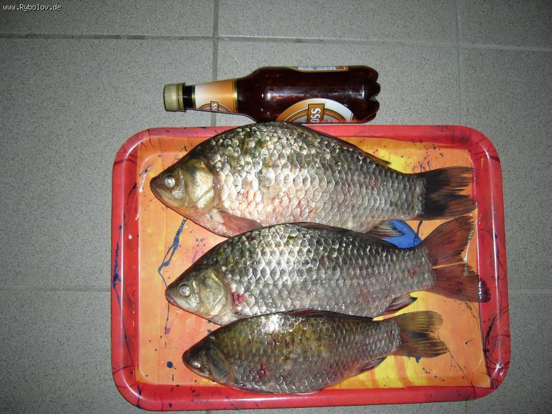 --����������� ������ - ������� (����������)