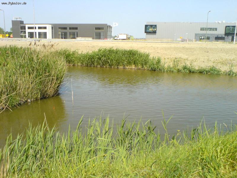 --����� - ������� (����������)