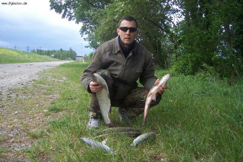 --����� - ������� (����������)