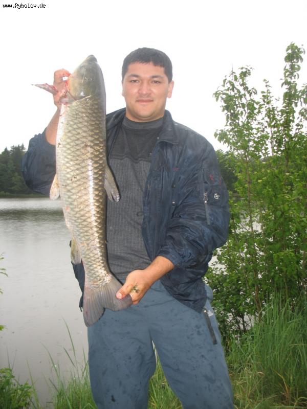 ---= ����� ���� =- - ������� (����������)