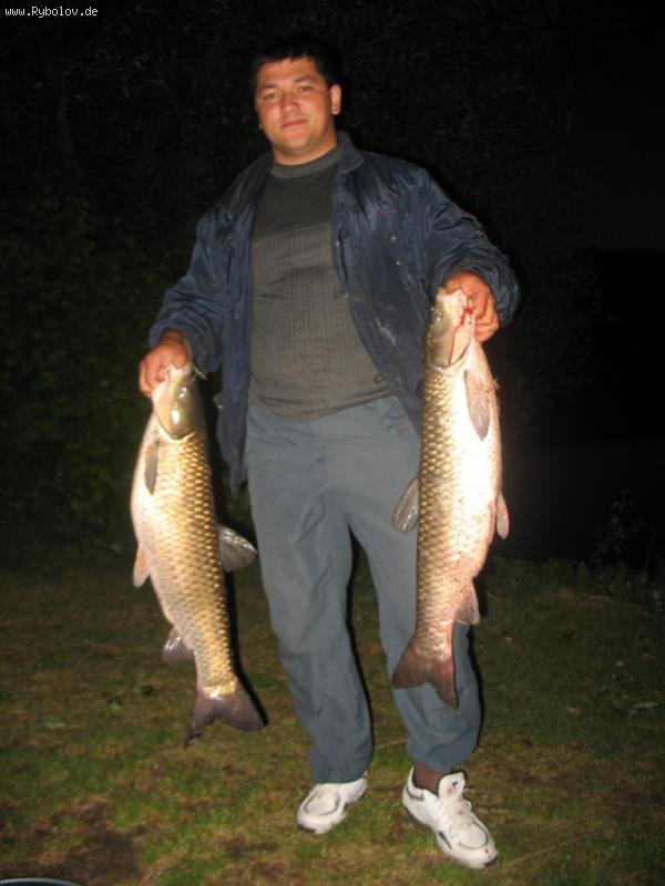 ---= ����� ���� =- - ������� (����������)