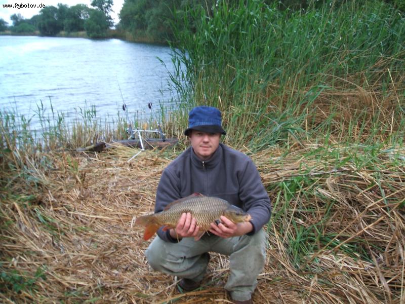 --������ - ������� (����������)