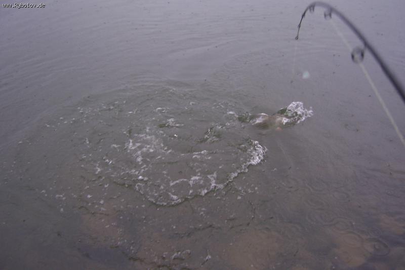 --��������������!!! - ������� (����������)