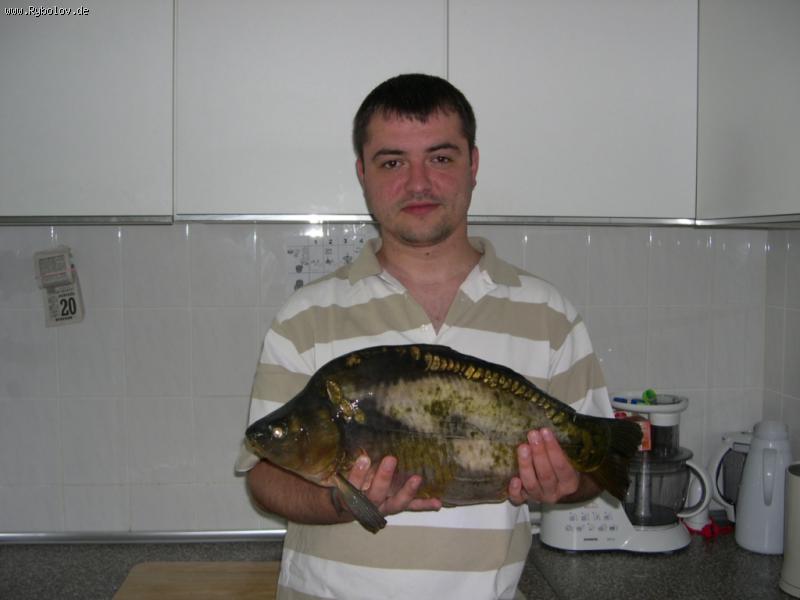 --��� 4-� ���� � ����� ��������. - ������� (����������)